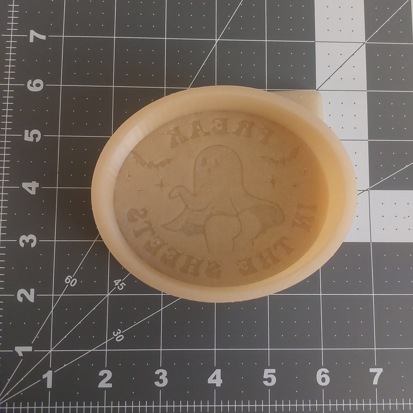 Freak in the Sheet Silicone Mold