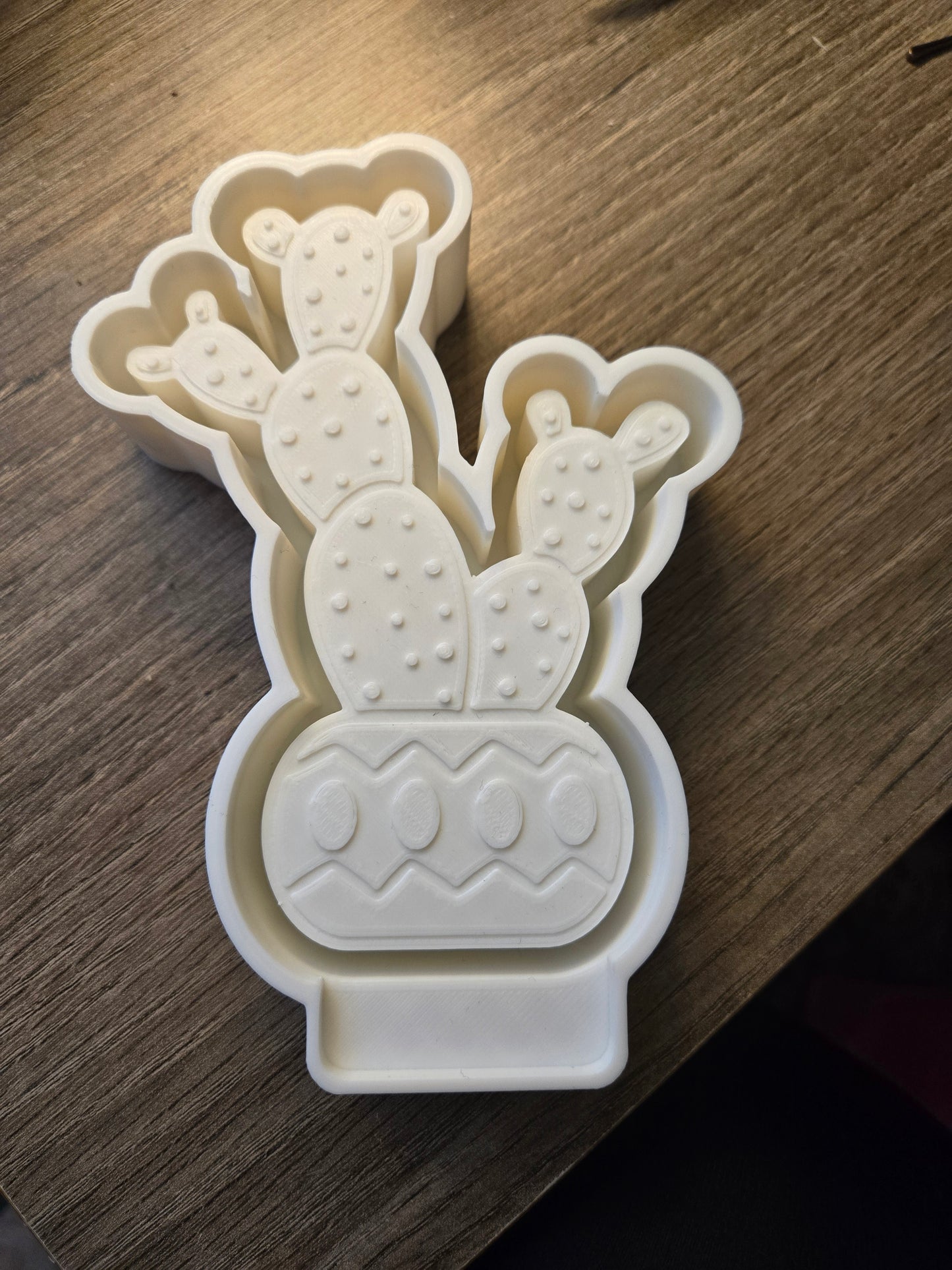 Potted Cactus Mold (B13)